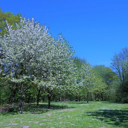 Meeresrauschen Apartmán Sierksdorf